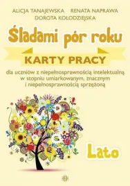 sladami-por-roku-lato