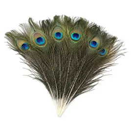 piora-piorka-naturalne-pawie-oczka-100-szt-25-30cm
