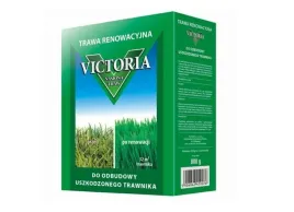 trawa-victoria-renowacyjna-08-kg-ozn-partii-pl630-09-10060-m146-a