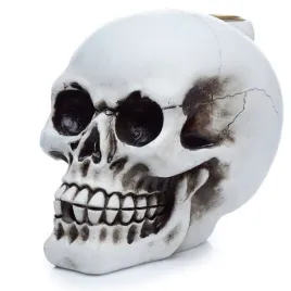 kadzielnica-z-przeplywem-zwrotnym-biala-czaszka-skull