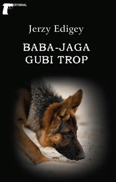 baba-jaga-gubi-trop-powiesc-kryminalna-ltw-210-stron-tytul-baba-jaga-gubi-trop