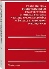 prawa-dziecka-pokrzywdzonego-przestepstwem-w-polskim-systemie-wymiaru-spraw