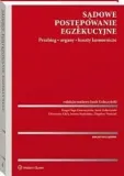 sadowe-postepowanie-egzekucyjne