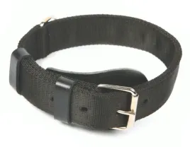 dingo-obroza-specjalna-z-tasmy-40x55-65cm-czarna
