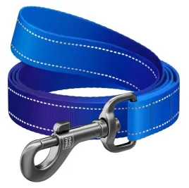 collar-waudog-nylon-mono-smycz-nylonowa-odblaskowa-l-xxl-25mm-200cm-niebies