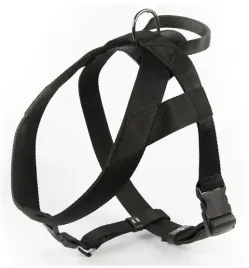 dingo-szelki-tasma-z-uchwytem-4cm-czarne