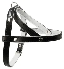 champion-szelki-50-czarne-sd