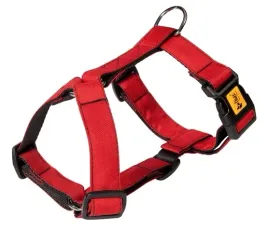 dingo-szelki-guard-dwupaskowe-scandi-2cm-rozmiar-s-czerwone