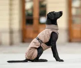 chaba-kubrak-regulowany-chic-l-beige-stan-nowy-rodzaj-inny