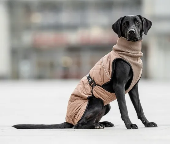 chaba-kubrak-regulowany-chic-l-beige-stan-nowy-wzor-inny-wzor