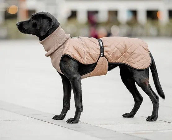 chaba-kubrak-regulowany-chic-l-beige-stan-nowy-kolor-inny-kolor