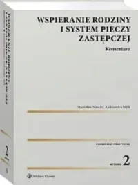 wspieranie-rodziny-i-system-pieczy-zastepczej-komentarz