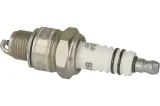 swieca-bosch-wr7b-10