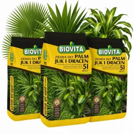 ziemia-do-palm-juk-i-dracen-biovita-3x5l
