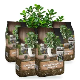 ziemia-bigos-do-roslin-domowych-zielonych-biovita-4x8l