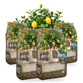 ziemia-bigos-do-cytrusow-i-roslin-srodziemnomorskich-biovita-4x8l
