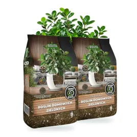 ziemia-bigos-do-roslin-domowych-zielonych-biovita-2x8l