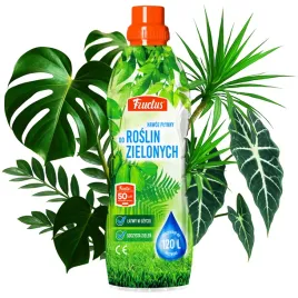 fructus-nawoz-plynny-do-roslin-zielonychmonster-zamiokulkasow-i-fikusow-1l
