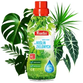 fructus-nawoz-plynny-do-roslin-zielonych-zamiokulkasow-fikusow-05l-na-zime