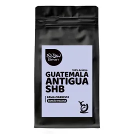 kawa-ziarnista-slow-bean-guatemala-antigua-250g-100percent-arabica-gwatemala