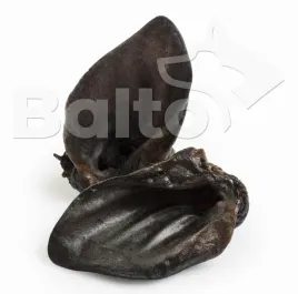 balto-ucho-dzika-1szt