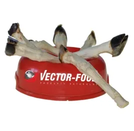 vector-food-giczka-jagnieca-york-1szt
