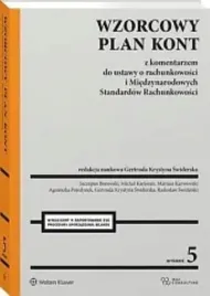 wzorcowy-plan-kont-z-komentarzem