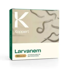 larvanem-nicienie-50-mln-pedraki-larwy-opuchlaki