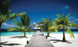 fototapeta-plaza-wyspa-ocean-domek-palmy-254x184