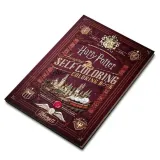 samokolorowanka-harry-potter-theory11