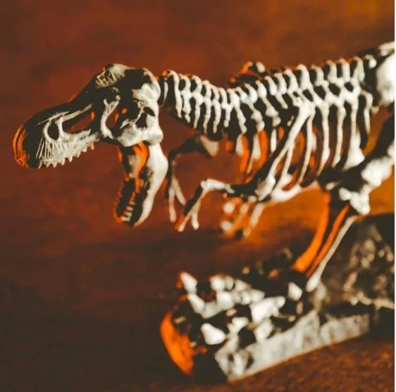 crazy-science-smoki-i-dinozaury-material-karton