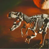 crazy-science-smoki-i-dinozaury-certyfikaty-opinie-atesty-ce