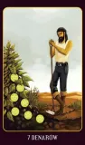 tarot-karty-robert-lichodziejewski-minimalna-liczba-graczy-1