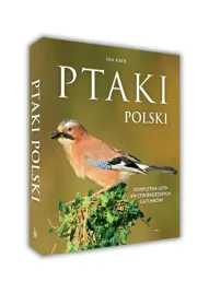 ptaki-polski-jan-krol