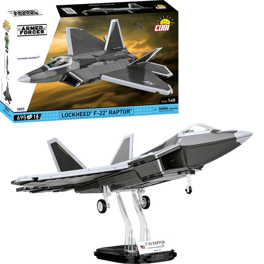 armed-forces-lockheed-f-22-raptor
