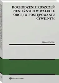 dochodzenie-roszczen-pienieznych-w-walucie-obcej-w-postepowaniu-cywilnym