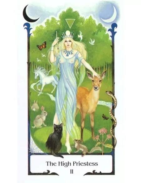 old-path-tarot-gb-set-nazwa-tarot-of-the-old-path