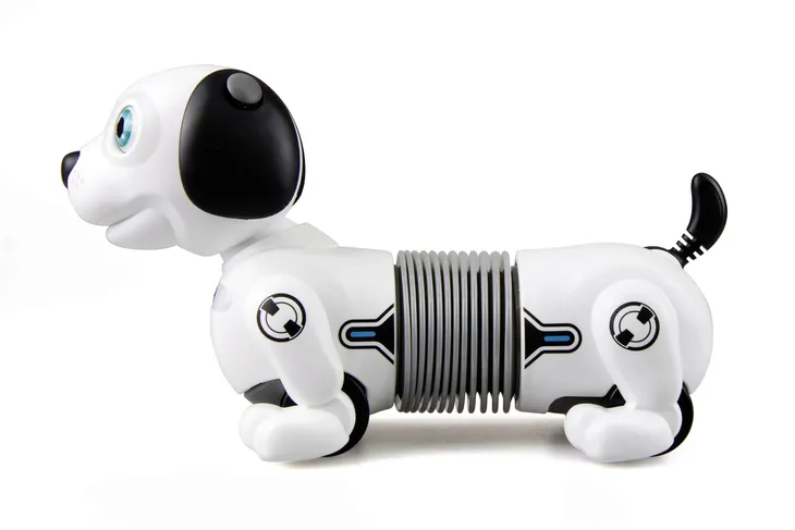 robo-dackel-junior-certyfikaty-opinie-atesty-ce