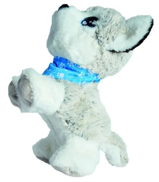 chi-chi-love-happy-husky-plec-dziewczynki