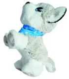 chi-chi-love-happy-husky-plec-dziewczynki