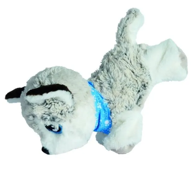 chi-chi-love-happy-husky-marka-simba
