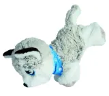chi-chi-love-happy-husky-marka-simba
