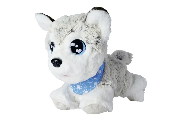 chi-chi-love-happy-husky-jezyk-angielski