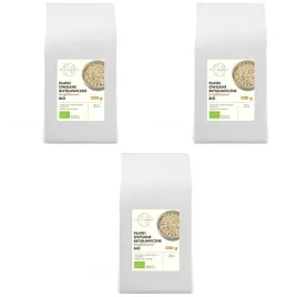 the-planet-platki-owsiane-blyskawiczne-bezglutenowe-bio-vegan-3x500-g