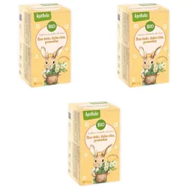 herbatka-dla-dzieci-bio-vegan-dzika-roza-prawoslaz-rumianek-3x30-g