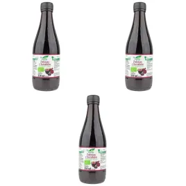 zakwas-z-burakow-bio-vegan-330-ml-bio-planet-zestaw-3-szt