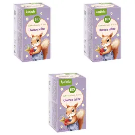 herbatka-dla-dzieci-owoce-lesne-z-malina-bio-vegan-3-szt