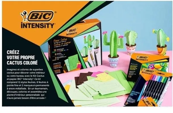 zestaw-intensity-paper-cactus-bic-kolor-wielokolorowy