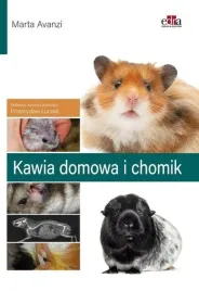 kawia-domowa-i-chomik-avanzi-m