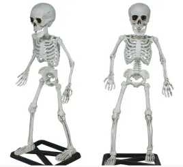 szkielet-stojacy-55-cm-realistyczna-dekoracja-halloween